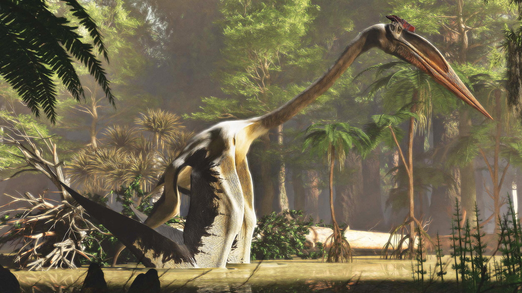 An illustration of a giraffe-sized Quetzalcoatlus northropi, walking through a river with trees and foliage in the background.